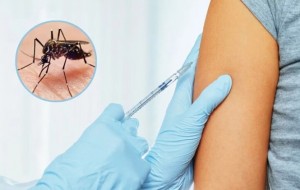 A diferencia de Corrientes, Misiones comenzará a vacunar gratis contra el dengue