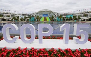 Casi 200 países firman acuerdo para proteger el 30% del planeta