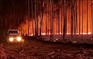 “El modelo productivo de Corrientes no es concordante con la prevención de los incendios”