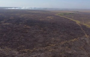 Más de 1.000 hectáreas se quemaron en el Estero Santa Lucía en una semana