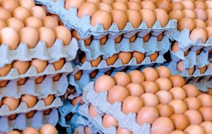 La devaluación se comenzó a trasladar a los precios