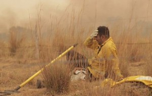Sigue el fuego en Corrientes: más de 12.000 hectáreas quemadas en una semana