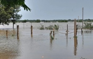 El Río superó los 7 metros de altura y Corrientes entró en etapa de evacuación