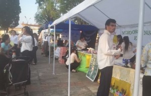 Exposición de carreras de Nivel Superior en San Luis del Palmar