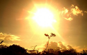 Hay riesgo extremo de incendios en gran parte de Corrientes