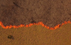 Incendios: el negocio inmobiliario en el sur y el monocultivo en Corrientes