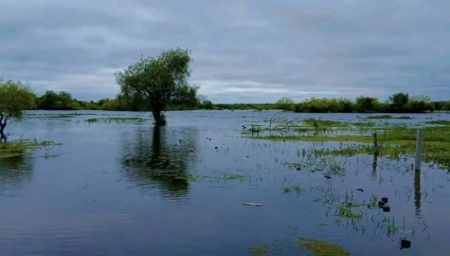 Siete familias evacuadas por el desborde del río Santa Lucía