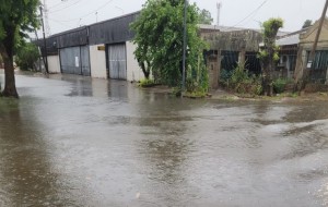 Llovieron casi 100 milímetros y la ciudad de Corrientes volvió ser un río